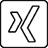 Xing Icon